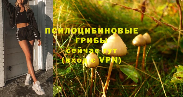 бутират Арсеньев