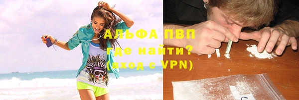 хмурый Новозыбков